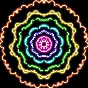 Meet your Posher, Callie